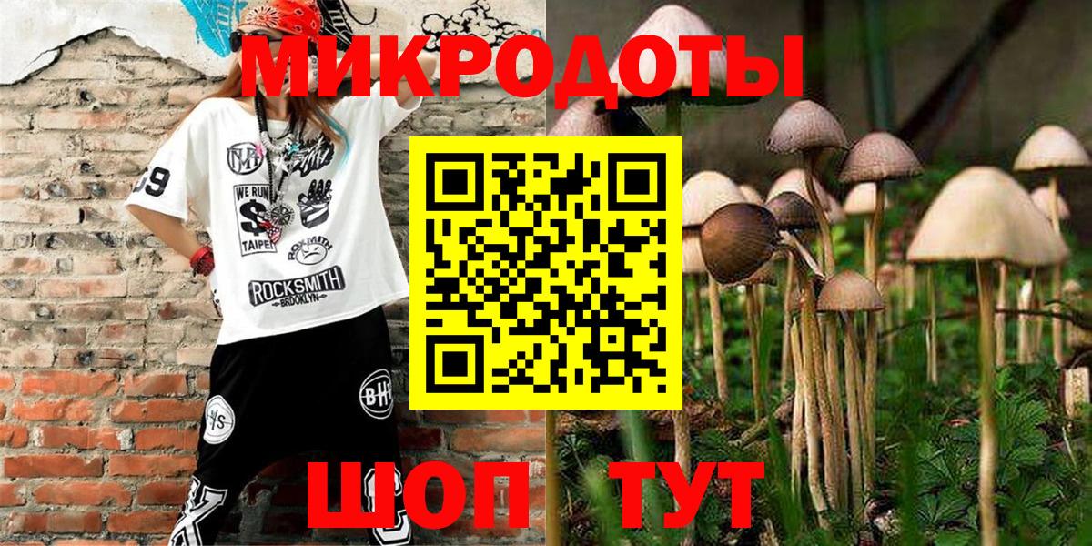 где купить   Псилоцибиновые грибы MAGIC MUSHROOMS  Вход с VPN  Родники 